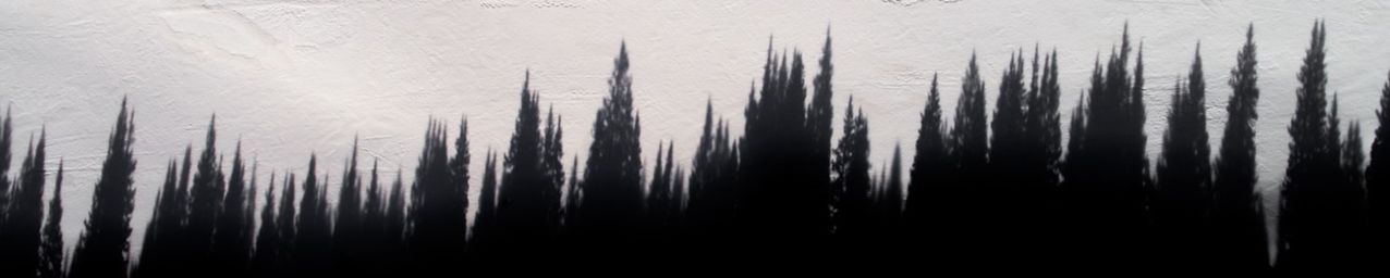 Understanding the Legal Framework of Indonesia's Carbon Market: A Stakeholder's Guide